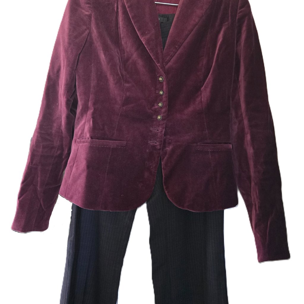 Pants Suit  Perfect For That Important Meeting